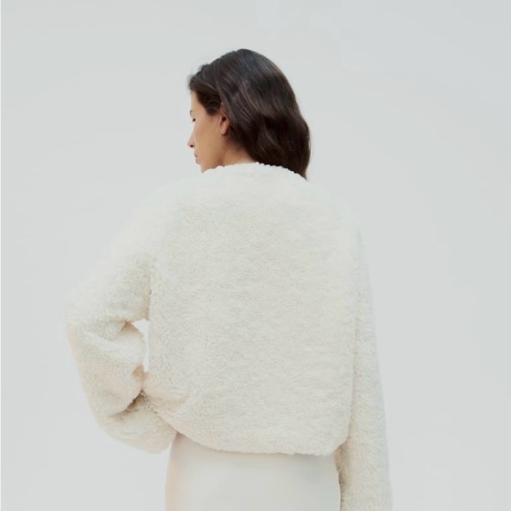 Zara Faux Shearling Jacket - Picture 6 of 12